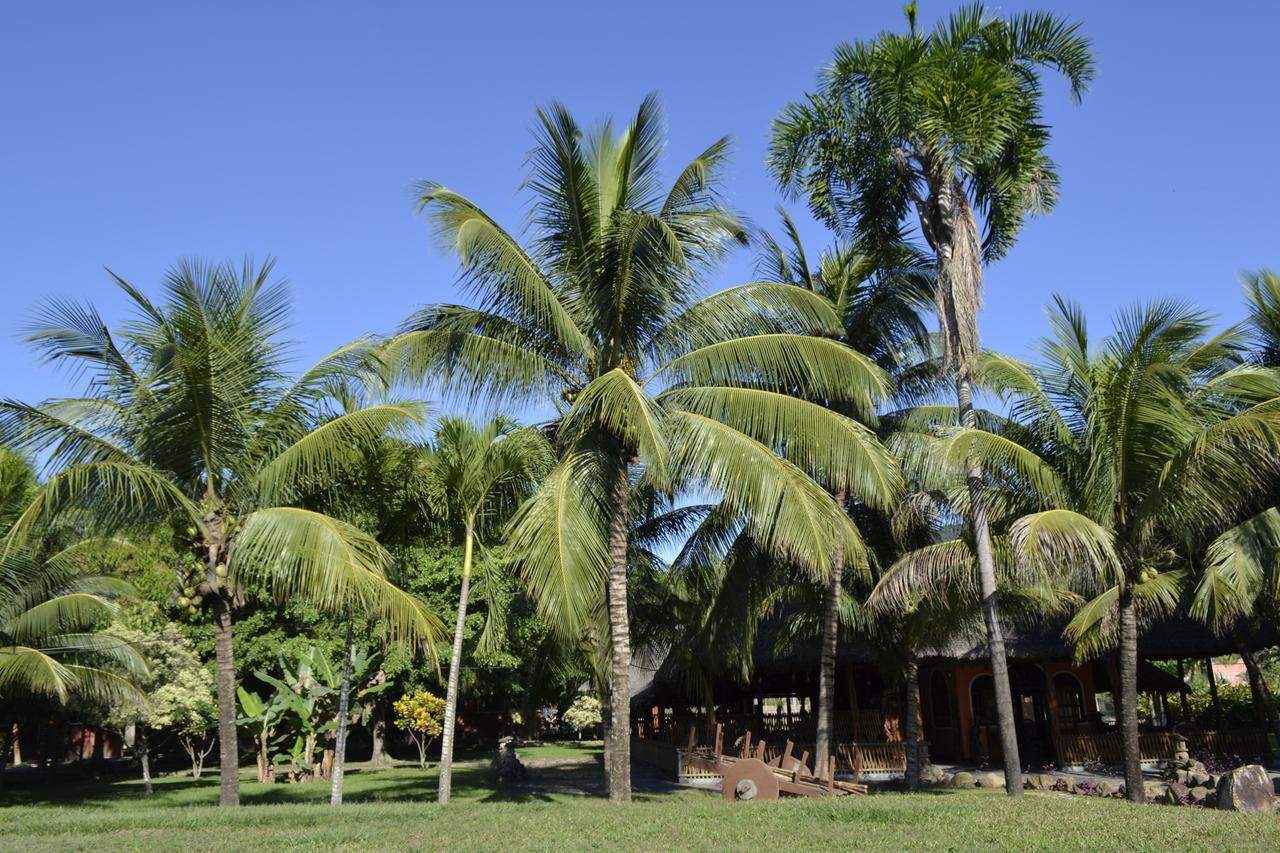 La Isla De Los Tucanes Rurrenabaque Eksteriør billede
